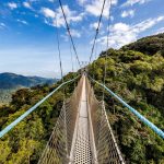Brighton Safari Img 71 Nyungwe